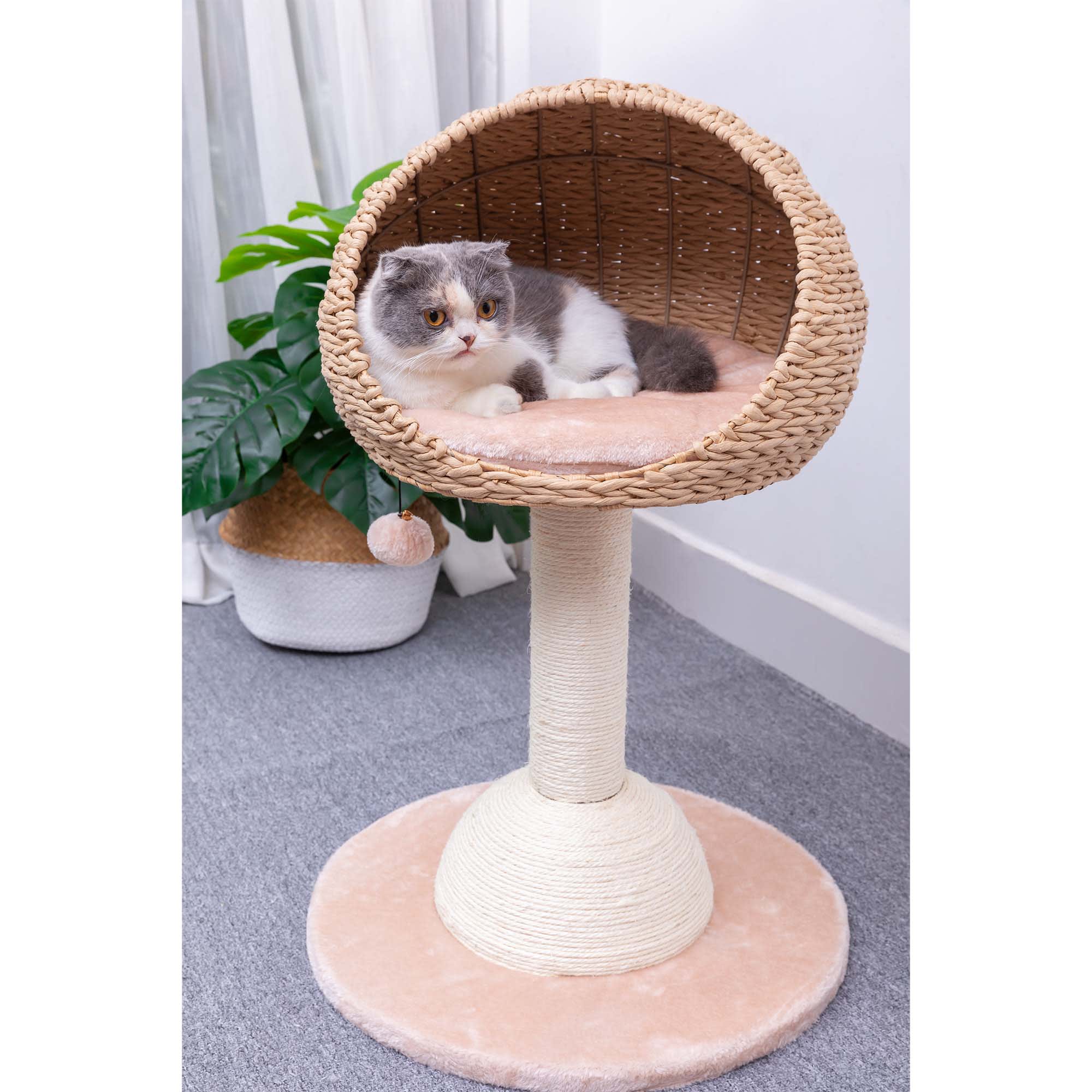 PetPals Group Lookout Eco-Friendly Boho Cat Perch with Natural Sisal Scratching Post， 29