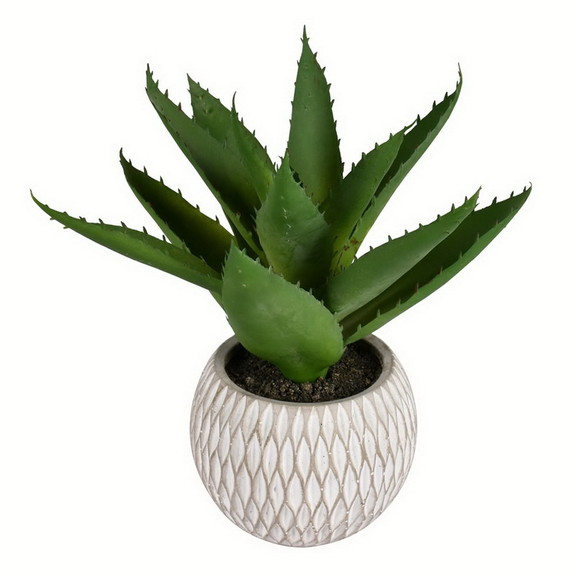 Vickerman FA192604 11 Green Succulent in Containe...