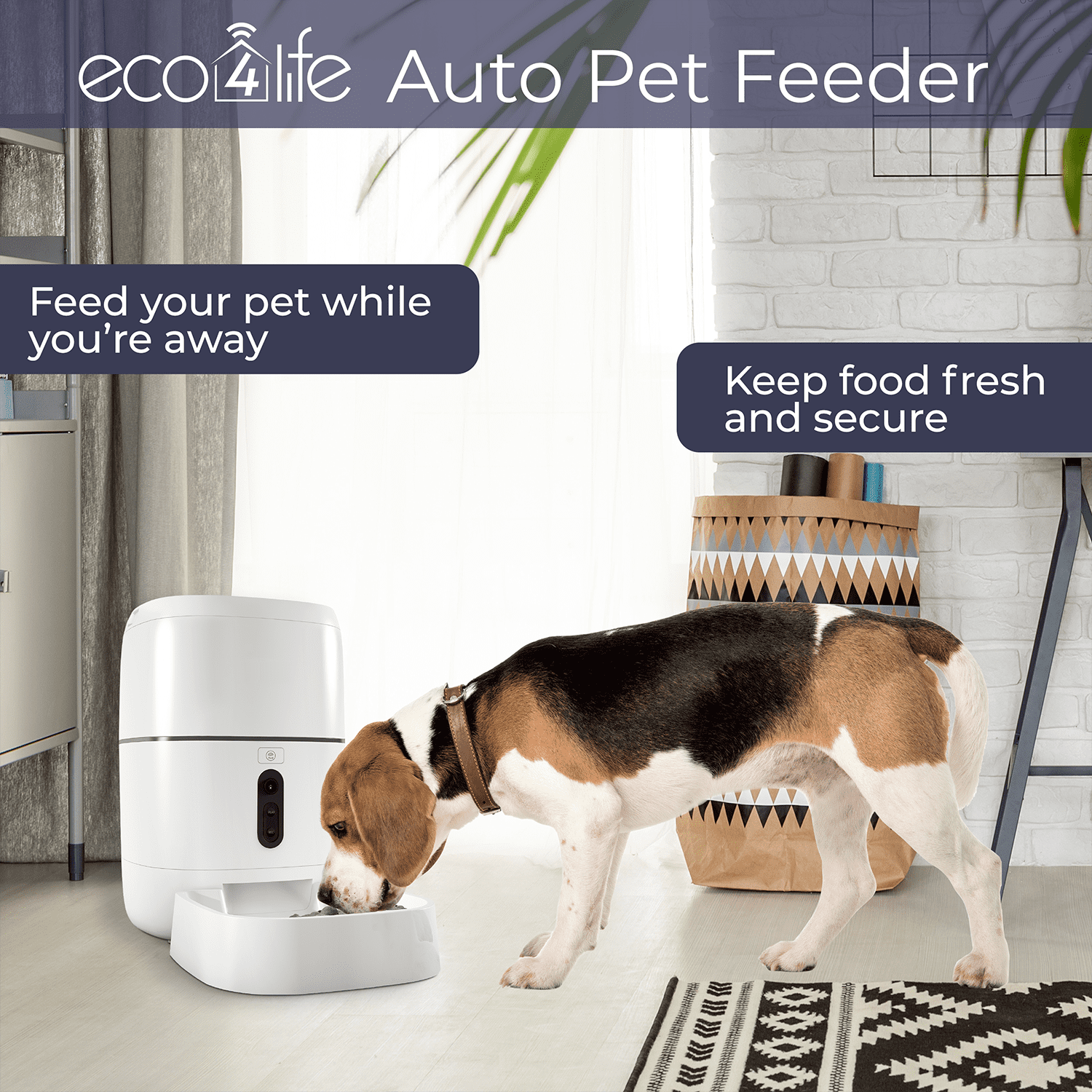 eco4life 6L WiFi Smart Pet Feeder with Built in Camera， Auto Food Dispenser with Portion Control， Distribution Alarms and Voice Recorder