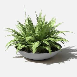 Veradek Lane Bowl 32 in. Gray Plastic Round Planter LBV32C