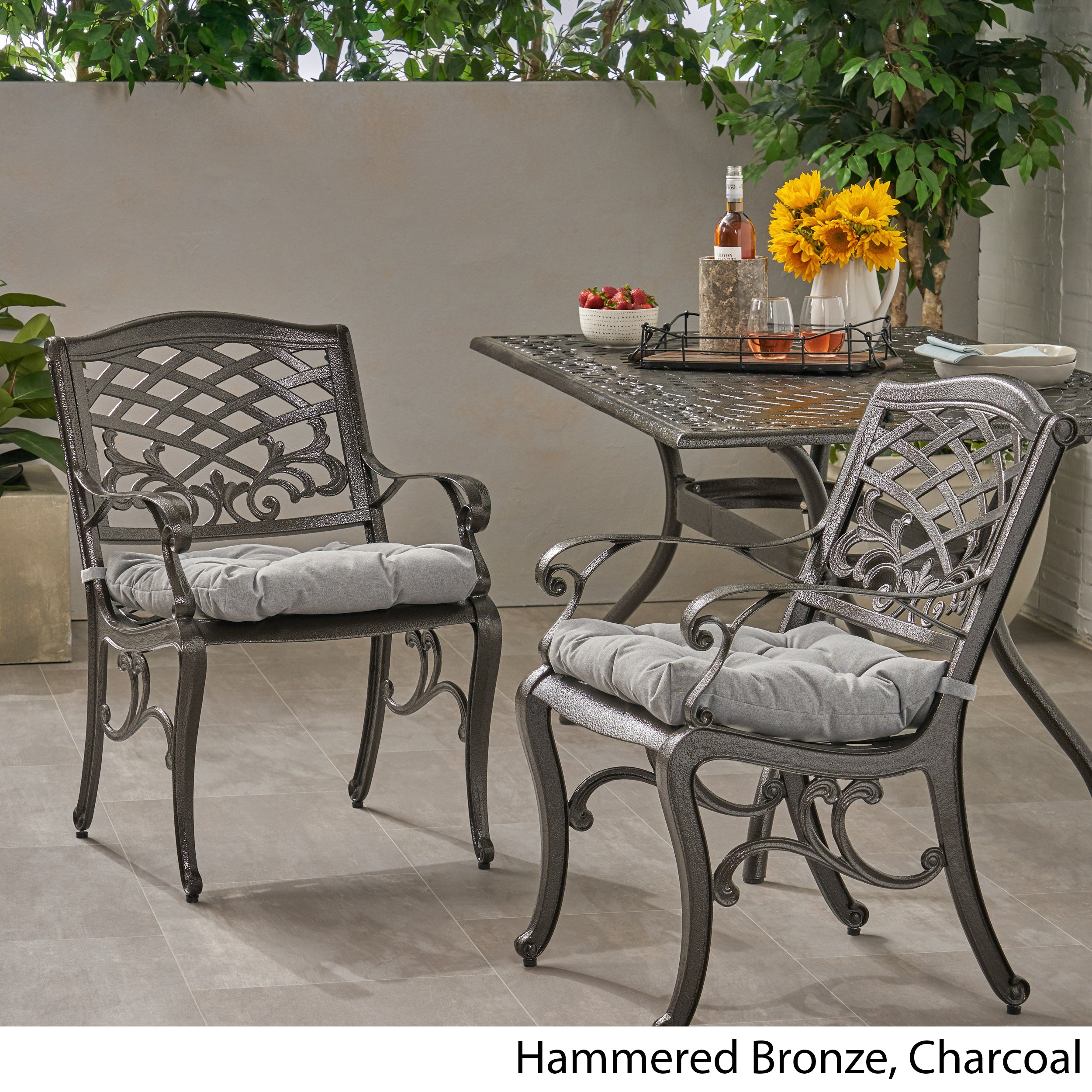 Juel Outdoor Dining Chair with Cushion (Set of 2)