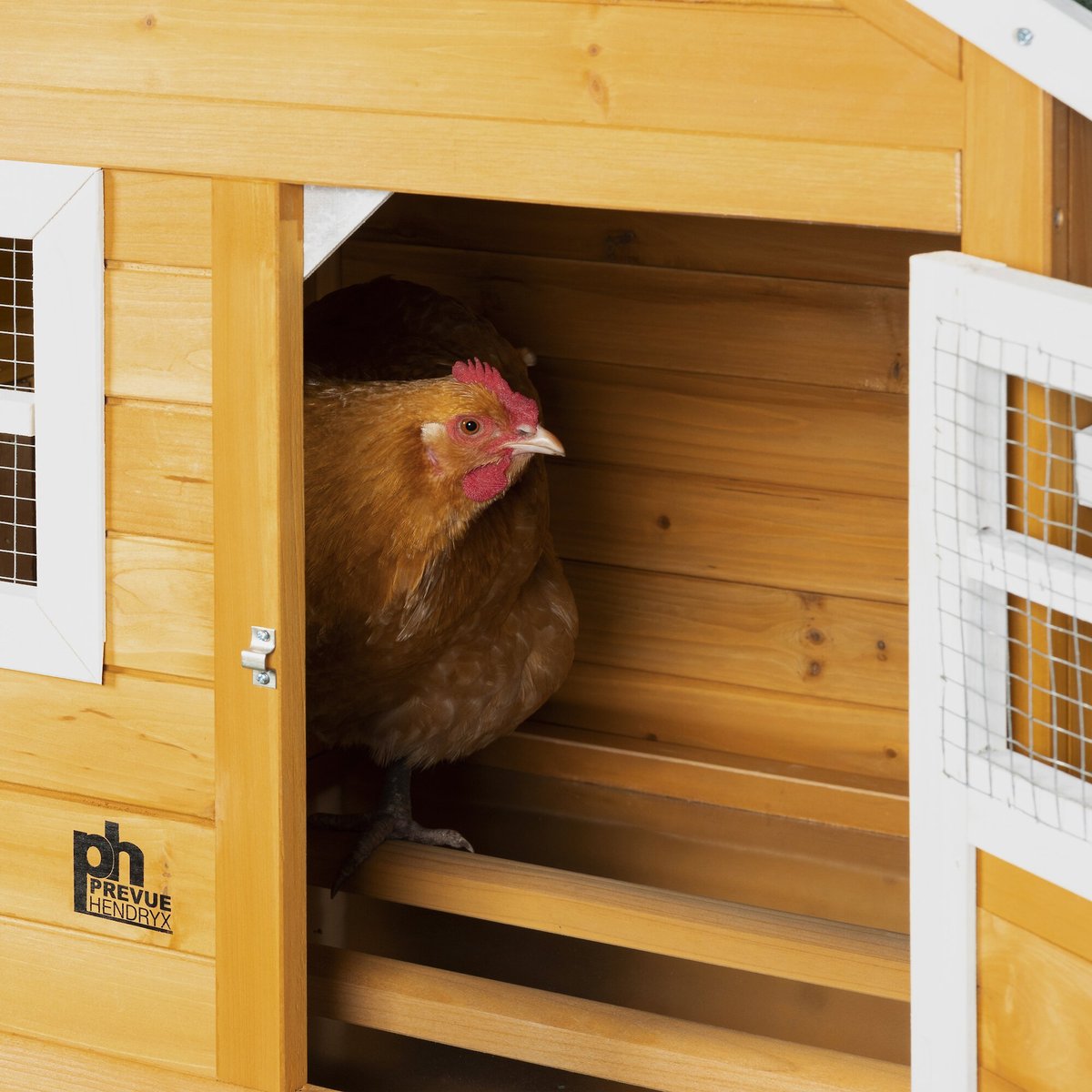 Prevue Pet Products Nest Box Chicken Coop