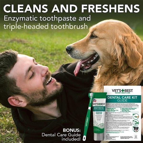 Vet's Best Toothbrush and Toothpaste Dental Kit