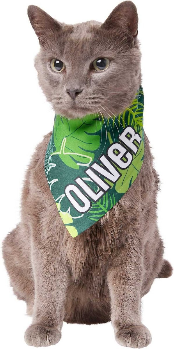 Frisco Tropical Palms Personalized Dog and Cat Bandana