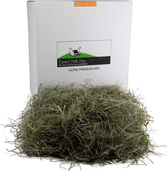 Rabbit Hole Hay Ultra Premium Hand Packed Coarse Orchard Grass Small Pet Food， 40-lb box