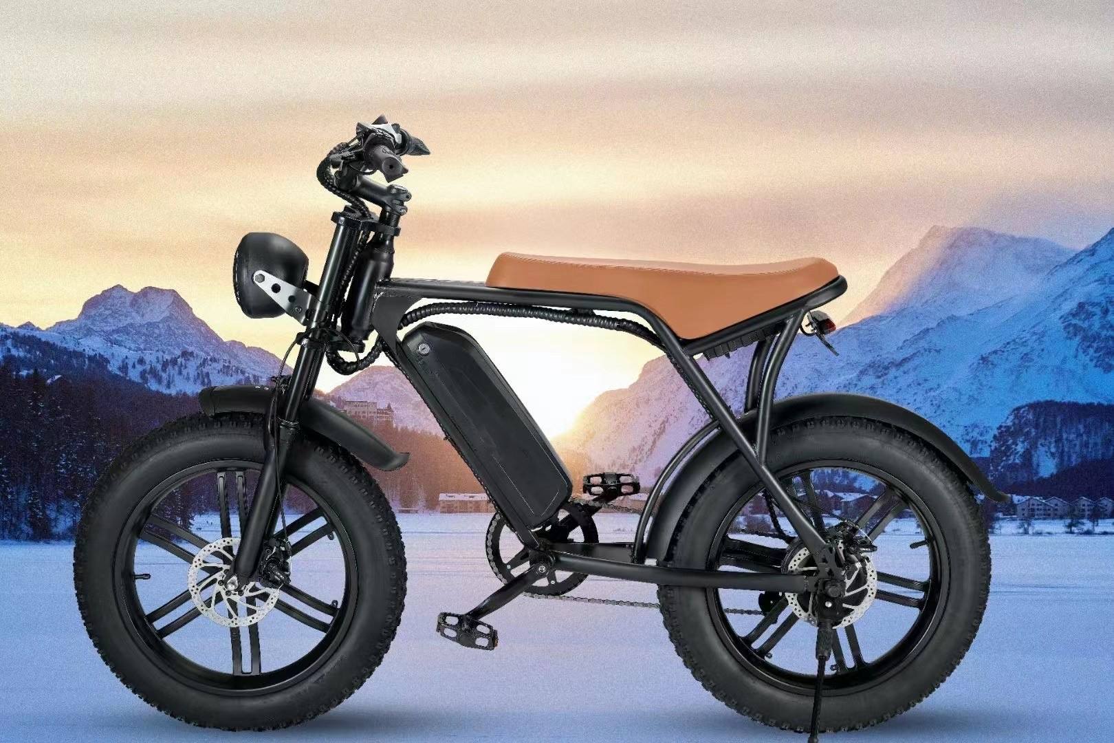 Sport Pedal Assist Ebike Electric Bicycle Electric Cycle Mountain Bike Retro Fat Tire Electric Bike 750w Fatbikes