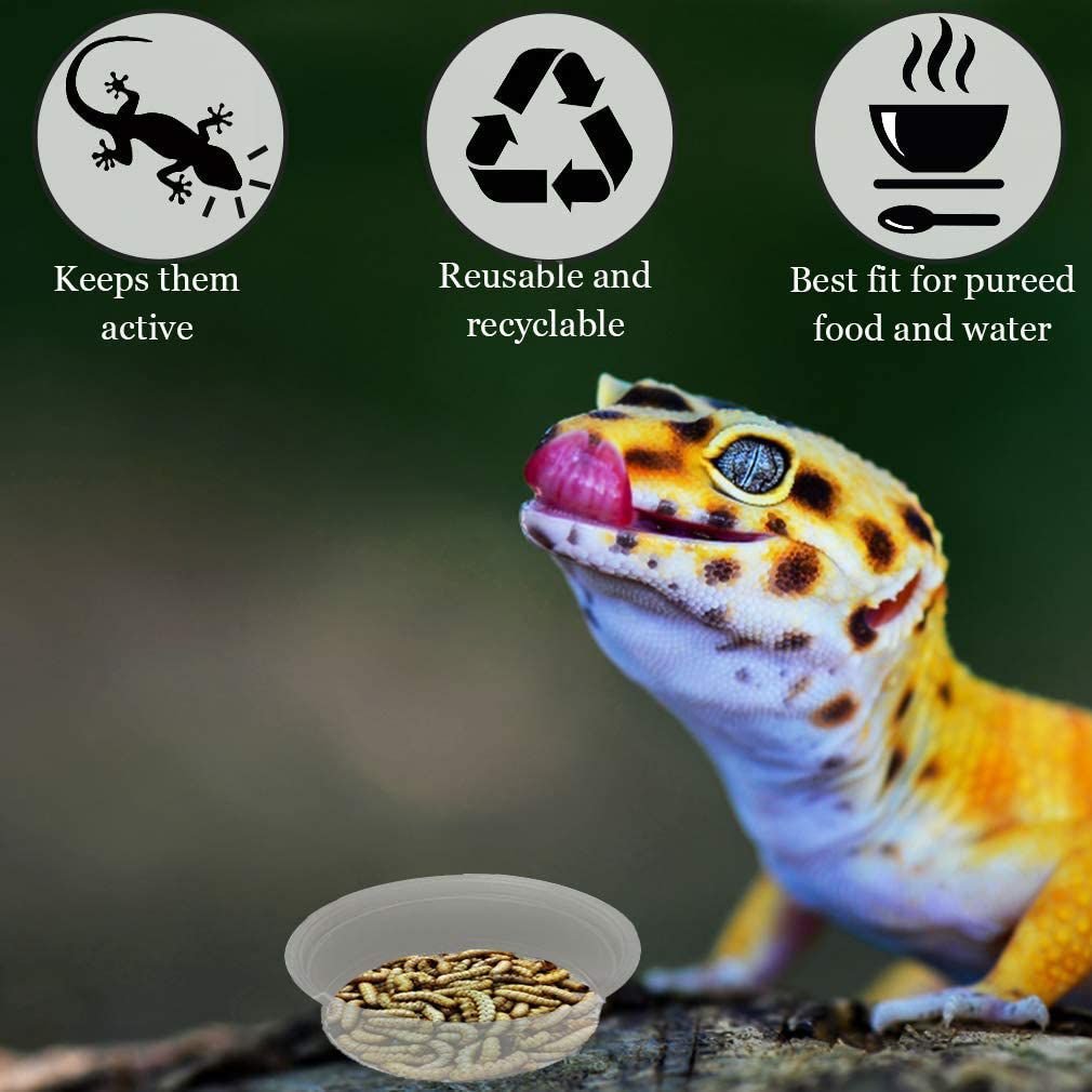 SunGrow Reptile Water Dish and Food Bowl， Lizard and Gecko Feeding Ledge Cups， 0.5-oz， 100 count