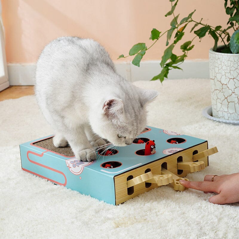 Cat Interactive Toy