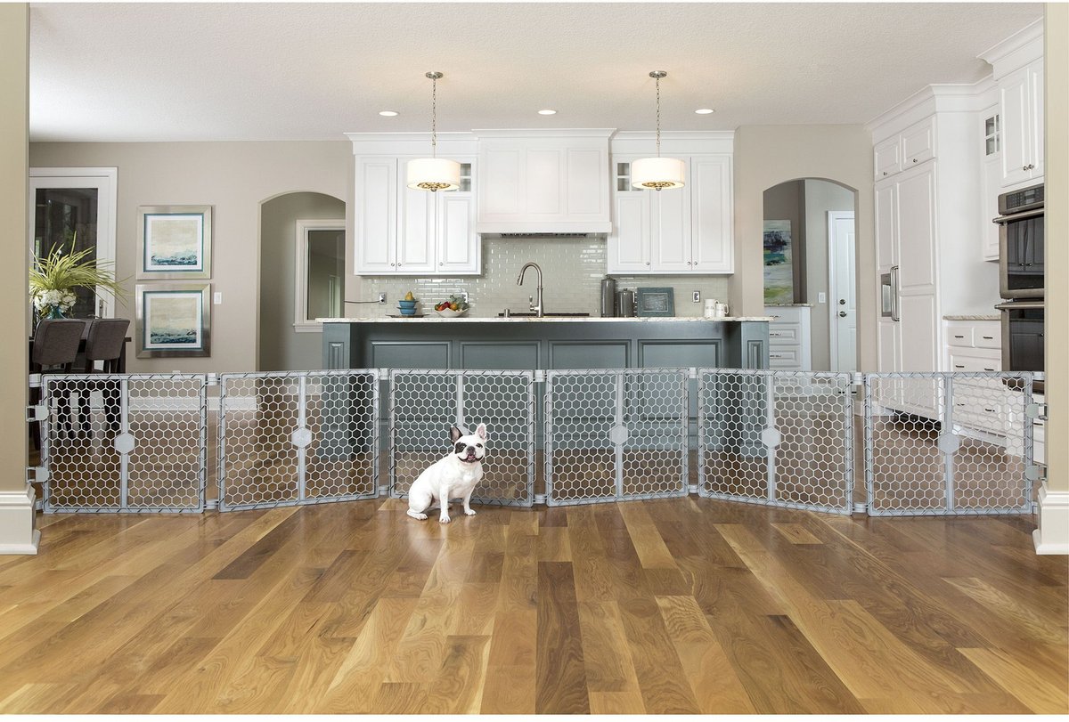 Carlson Pet Products Dog Gate