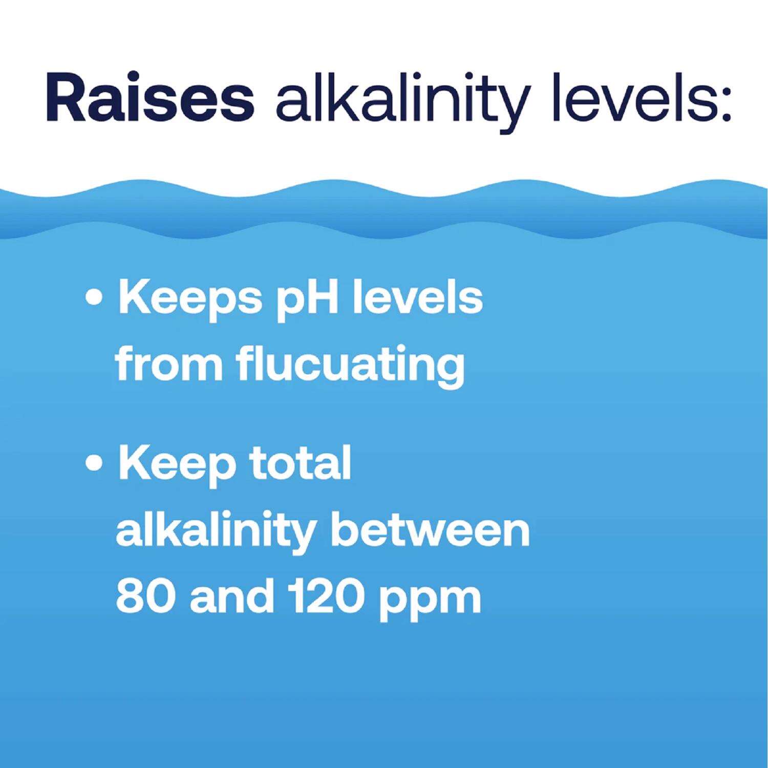 HTH Spa Powder Alkalinity Increaser 1.25 lb