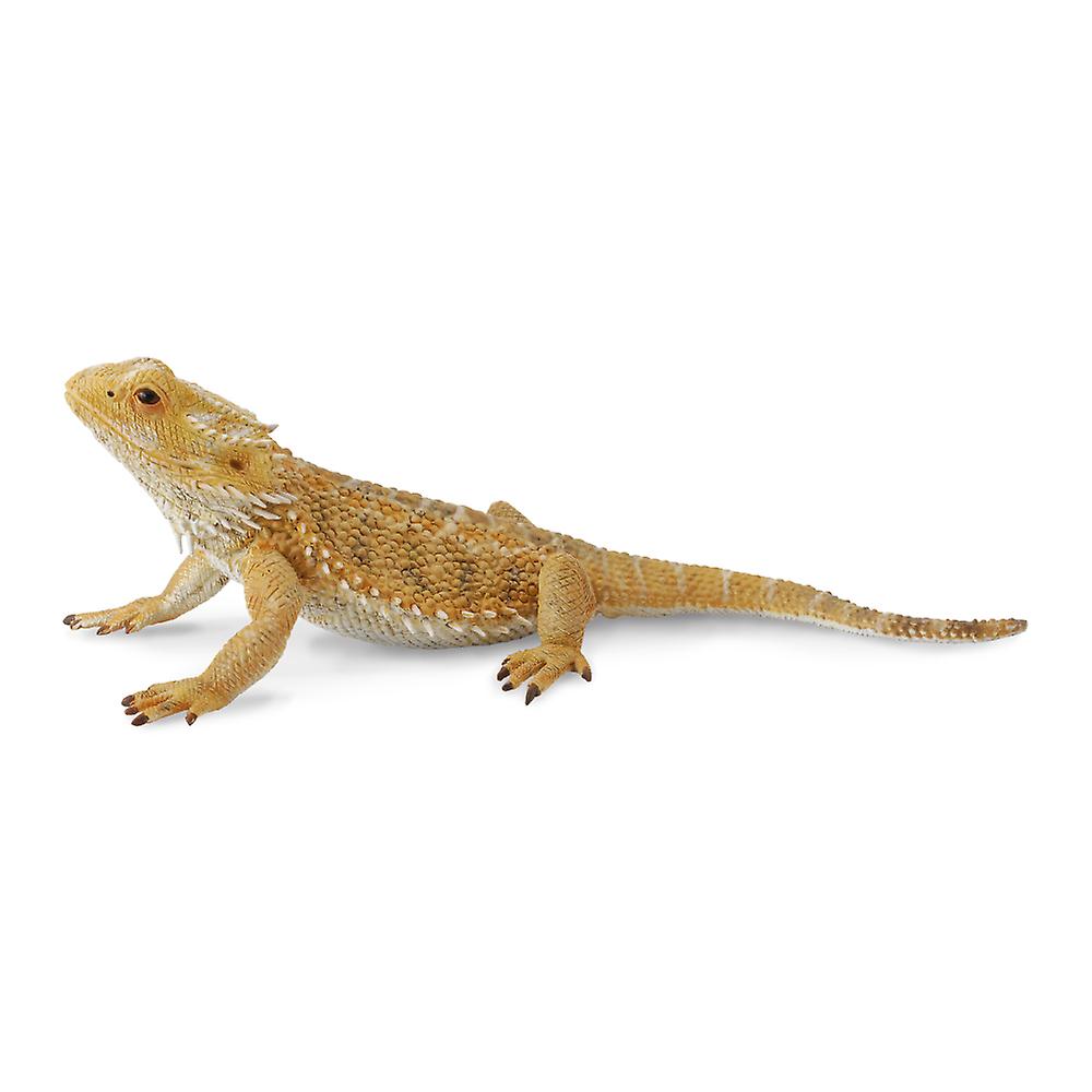 CollectA Bearded Dragon Lizard