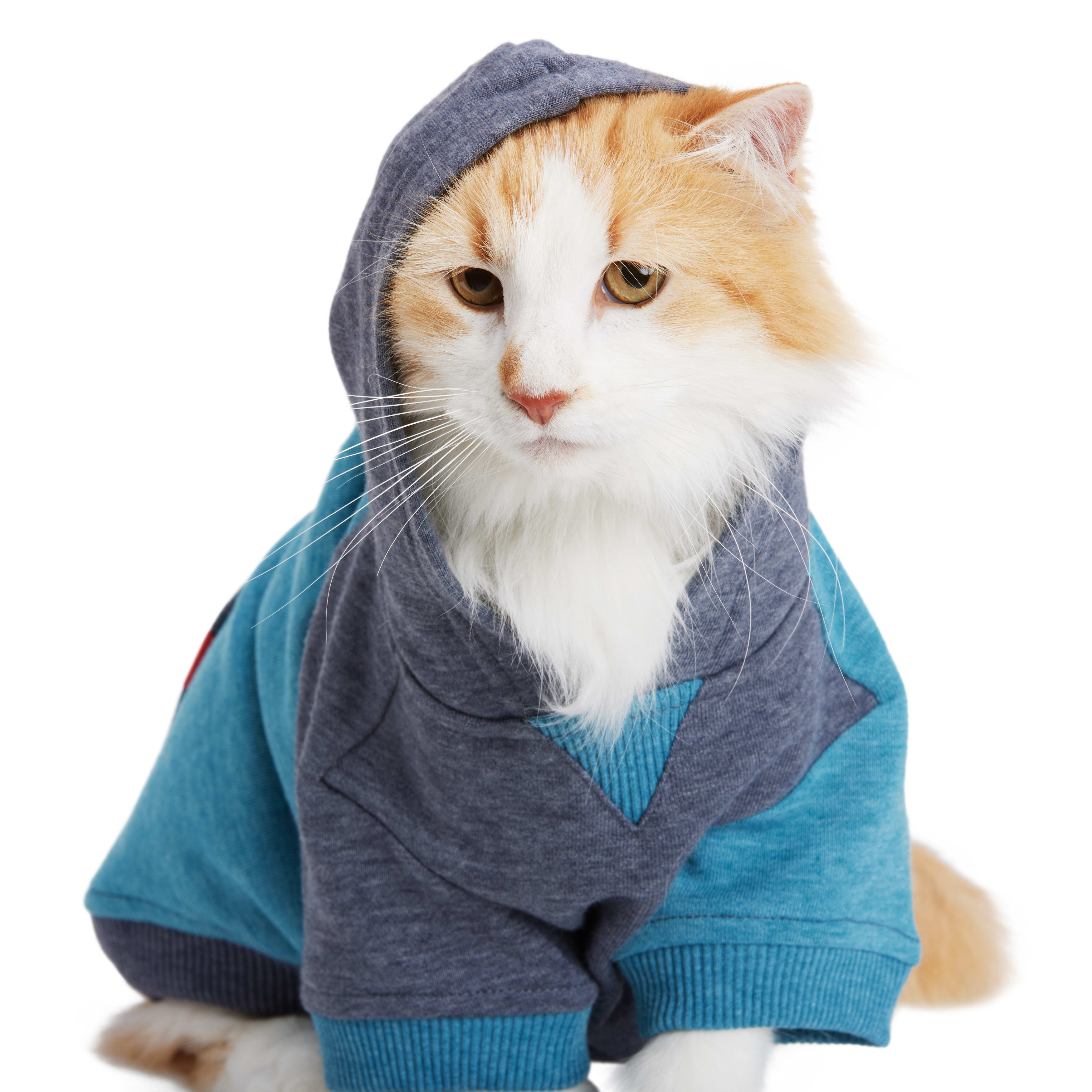 Reddy Teal Cat Hoodie， Small/Medium