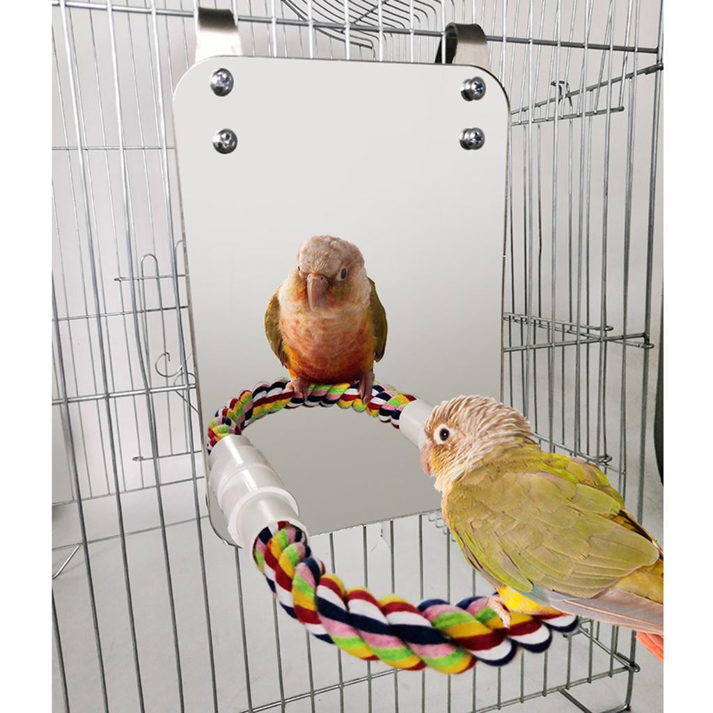 2x Bird Mirror with Perch Small， Medium and Large Parrots， Parakeets， Cockatoos， Cockatiels， Conures， Budgies， Lovebirds etc.