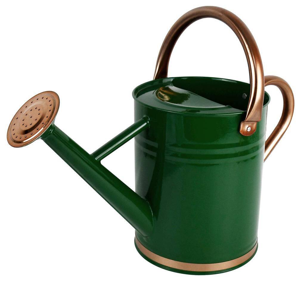 Dyiom 1 Gal. Green Metal Watering Can with Removable Spout Rainwater Harvesting System B0B34XLGV9