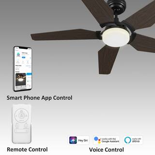 CARRO Voyager 52 in. Dimmable LED IndoorOutdoor Black Smart Ceiling Fan with Light and Remote Works wAlexaGoogle Home S525B-L22-B5-1