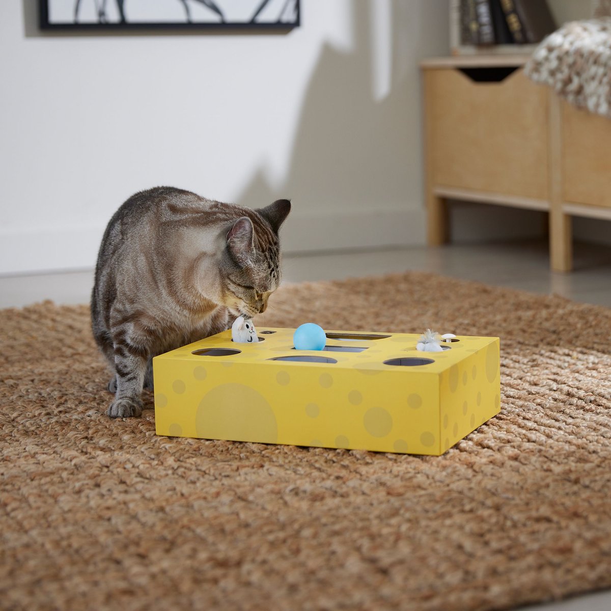 Frisco Cheese Interactive Maze Cardboard Cat Toy Box with Catnip