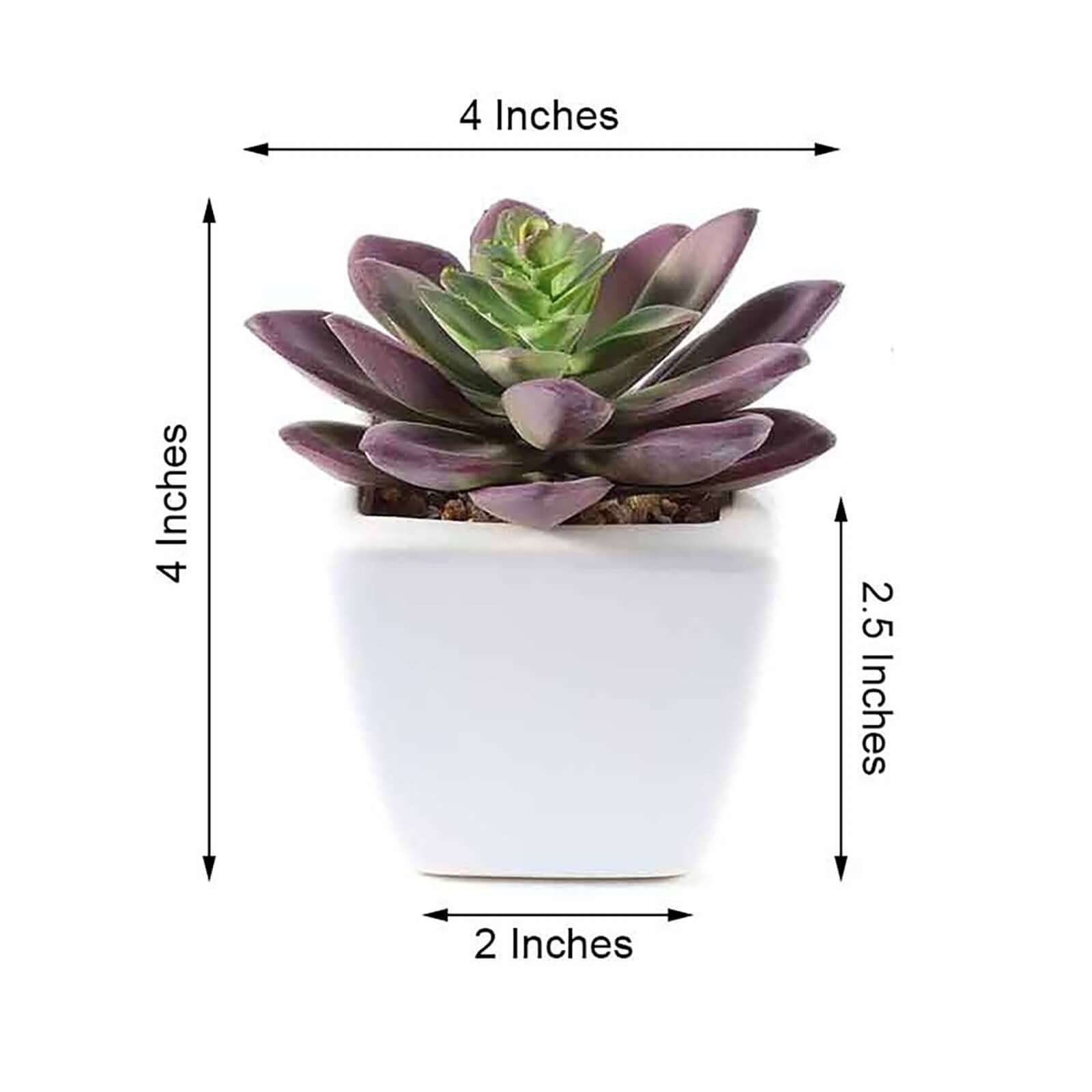 3 Pack Ceramic Planter Pot and Artificial Echeveria Elegans Plants 4