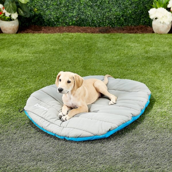 Chuckit! Travel Pillow Dog Bed