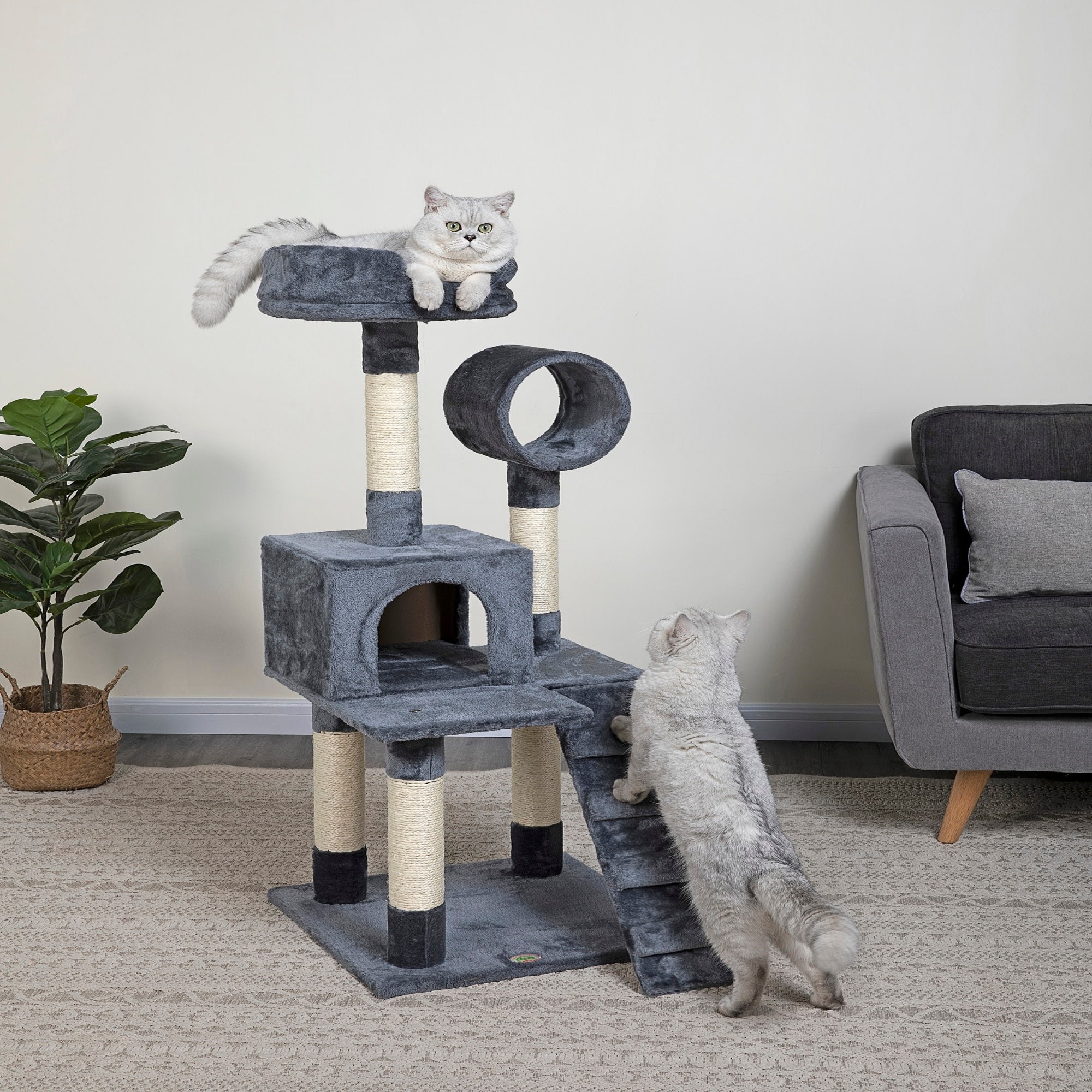 Go Pet Club Gray Cat Tree Condo with Sisal Covered Posts， 49.5