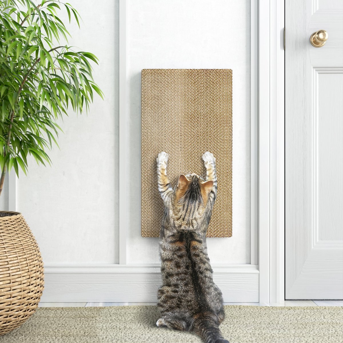 Way Basics Katwall Wall Scratching Post with Catnip