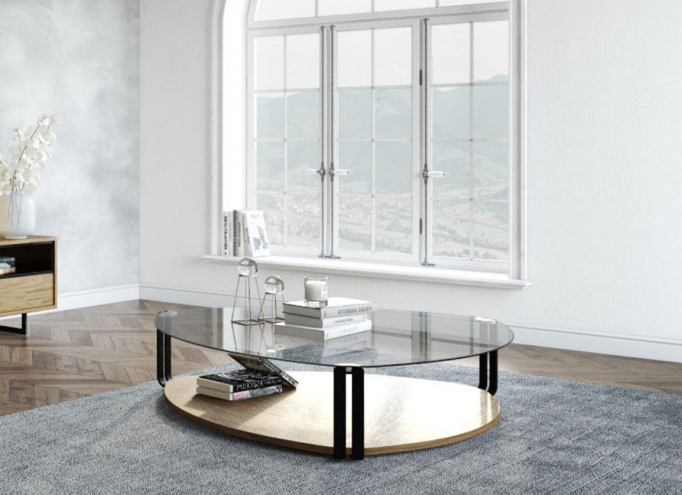 Tryna Modern Coffee Table   Transitional   Coffee Tables   by V.S.D Furniture  Houzz