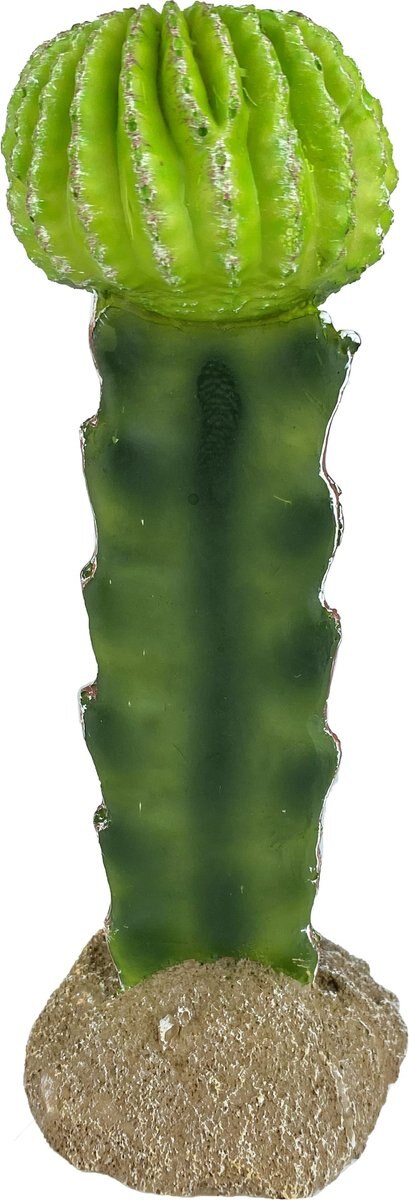 Komodo Cactus Moon Reptile Ornament， Green