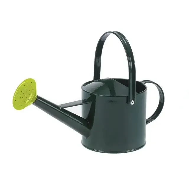 Classic Royal Green New Design Cheap Wholesale Hotel Restaurant Home Metal watering Can/Pot for Garden