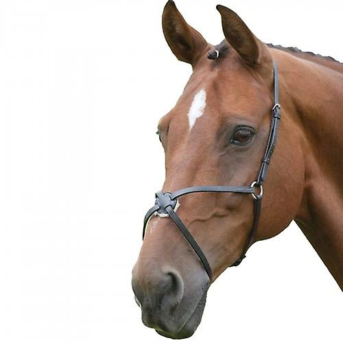 Blenheim Mexican Leather Horse Noseband