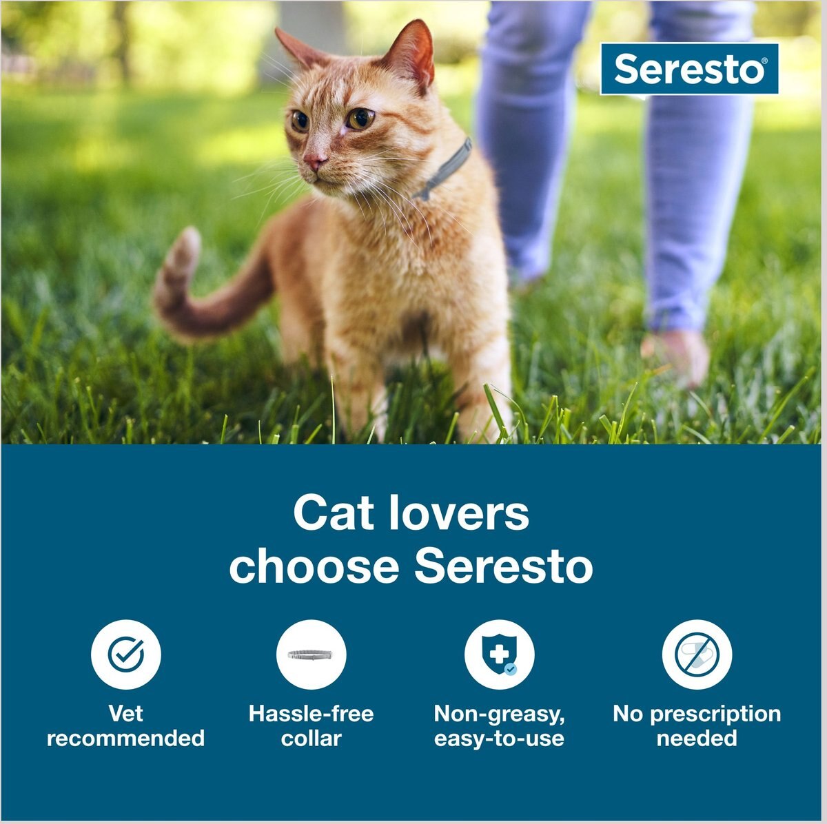 Seresto Flea and Tick Collar for Cats