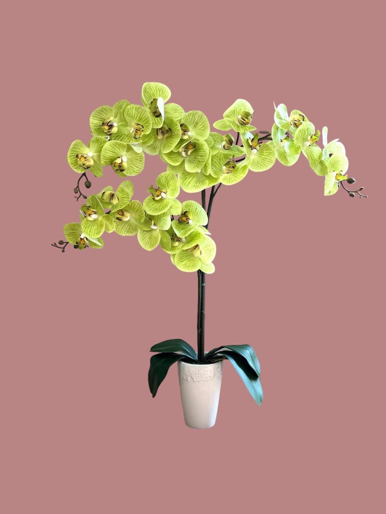 Stunning Artificial Orchids in Conical Pot