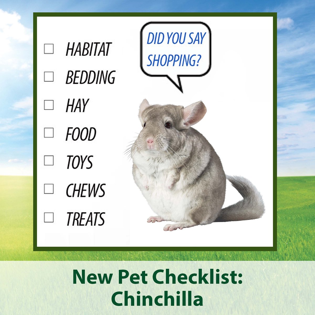 Kaytee Fiesta Gourmet Variety Diet Chinchilla Food