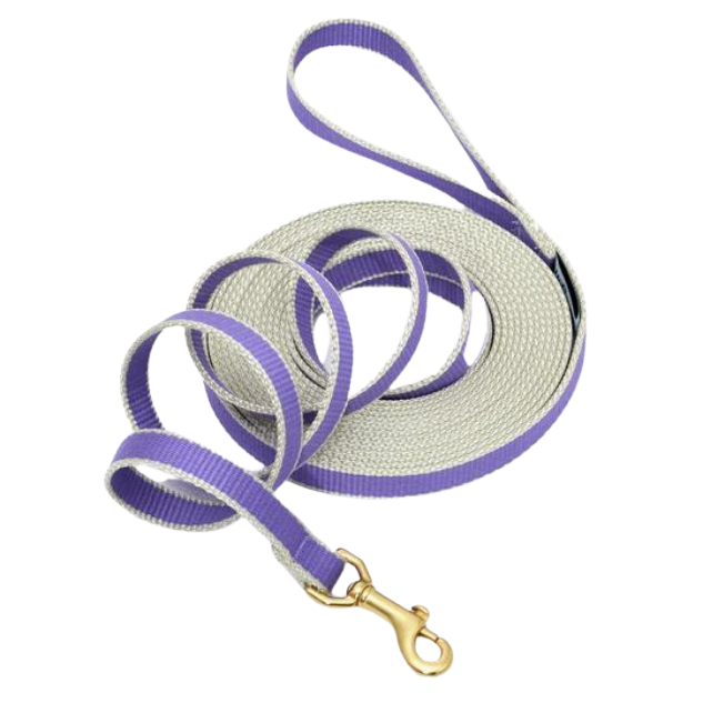 Training Leash | Purple & Gray