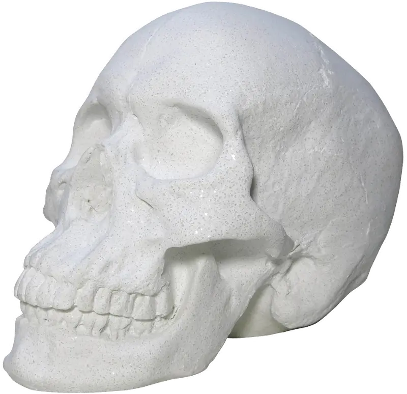 White Faux Marble Look Skull Tabletop Sculpture