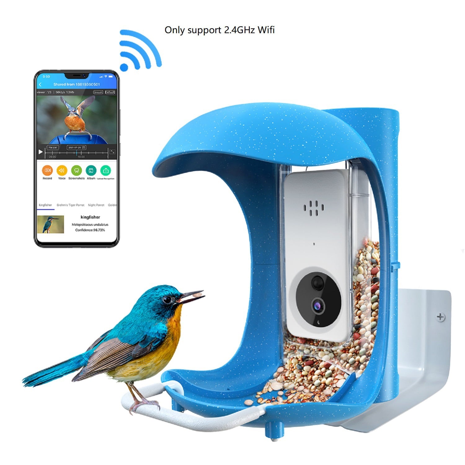 Smart Hopper Bird Chickadees Feeder Video Camera， Blue， Hopper Feeder