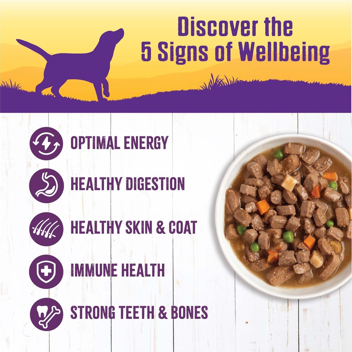 Wellness Chicken Stew with Peas and Carrots Grain-Free Canned Dog Food