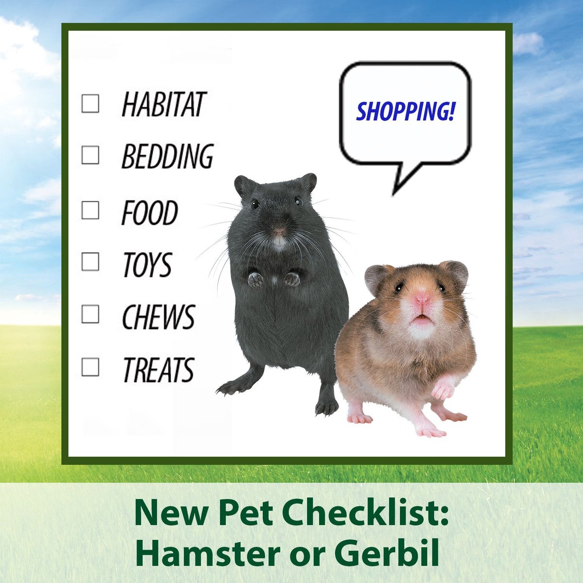 Kaytee Fiesta Gourmet Variety Diet Gerbil and Hamster Food