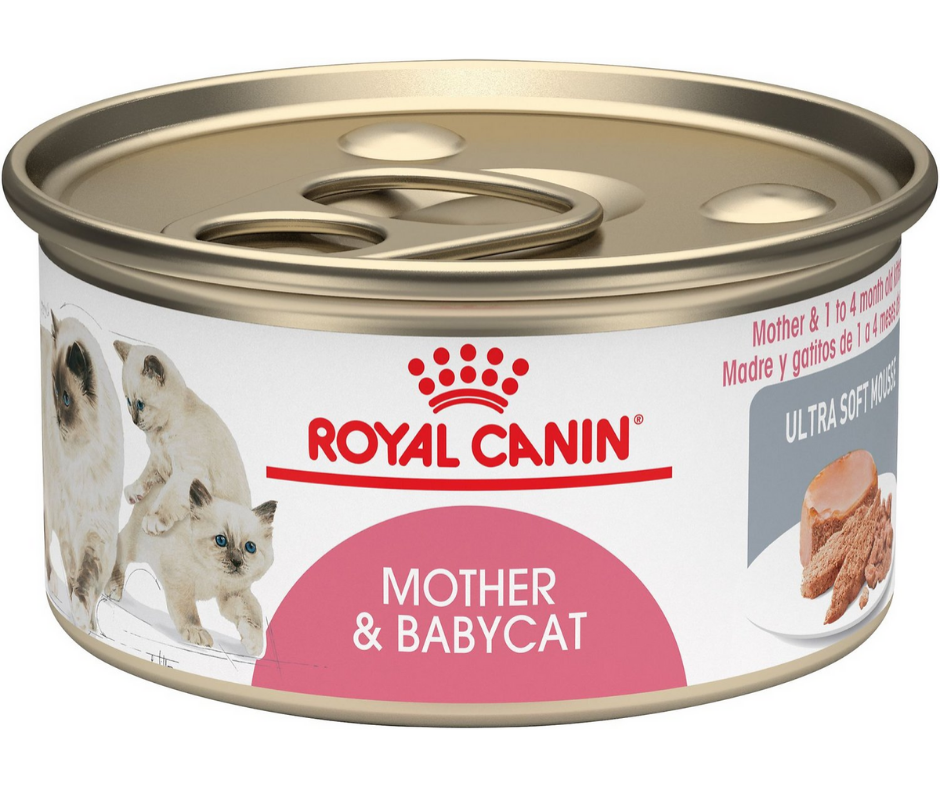 Royal Canin Mother and Babycat Ultra-Soft Mousse in Sauce Canned Cat Foo