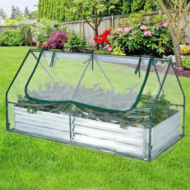 6 x 3 x 3 Feet Galvanized Raised Garden Bed with Greenhouse   71\