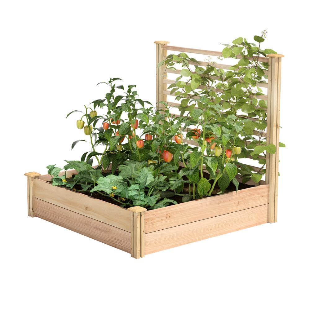 Greenes Fence 4 ft. x 4 ft. X 11 in. Premium Cedar Raised Garden Bed with Trellis RC484812PTRE