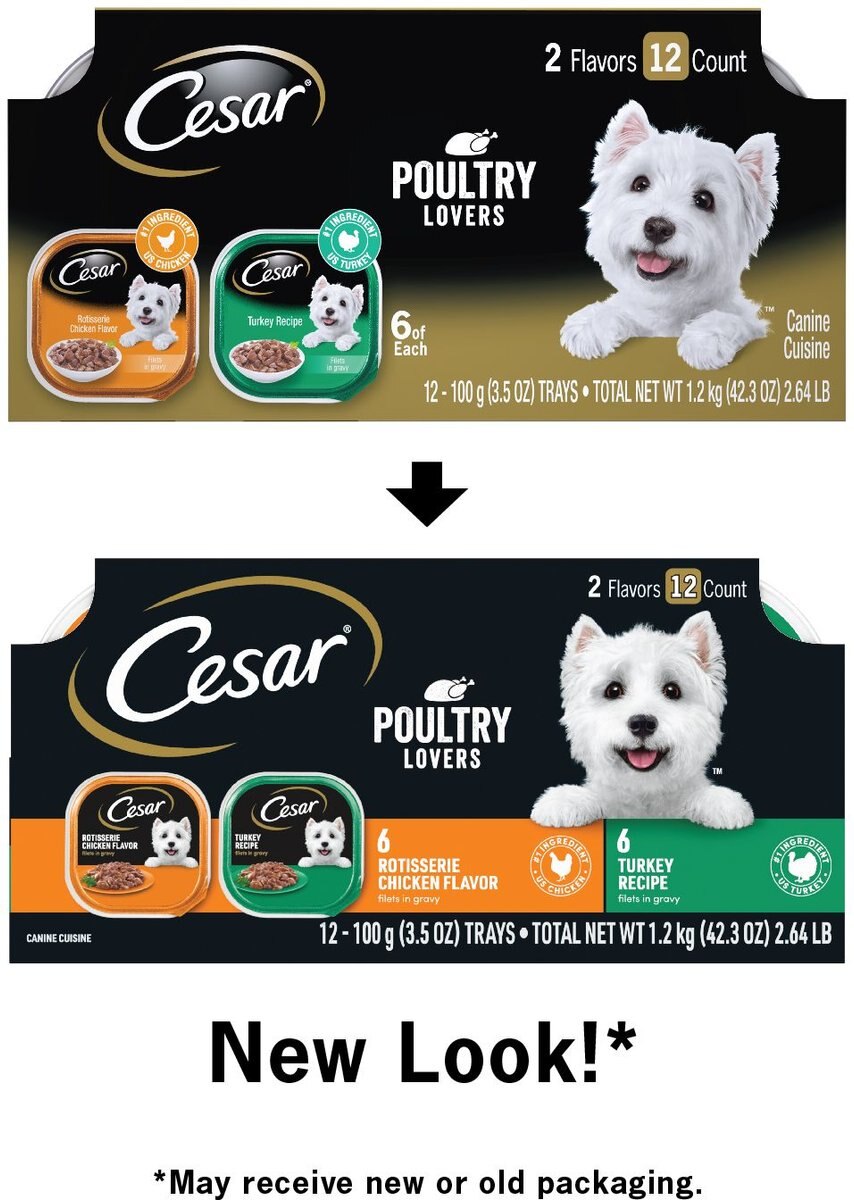 Cesar Poultry Lovers Turkey and Chicken Filets in Gravy Multipack Wet Dog Food Trays