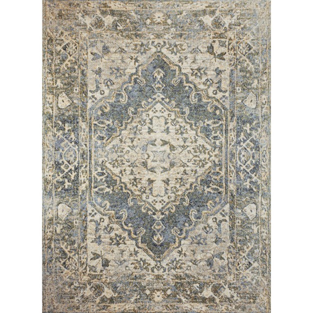 Jonathan Y Pavel Distressed Medallion Low pile Machine washable Indoor Area Rug