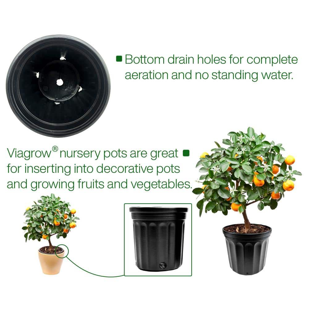 Viagrow 12 Gal. Plastic Nursery Pots (100-Pack) VHPP50-100