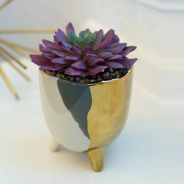 Succulent in 5 3TONE FOOTED CERAMIC，GREY