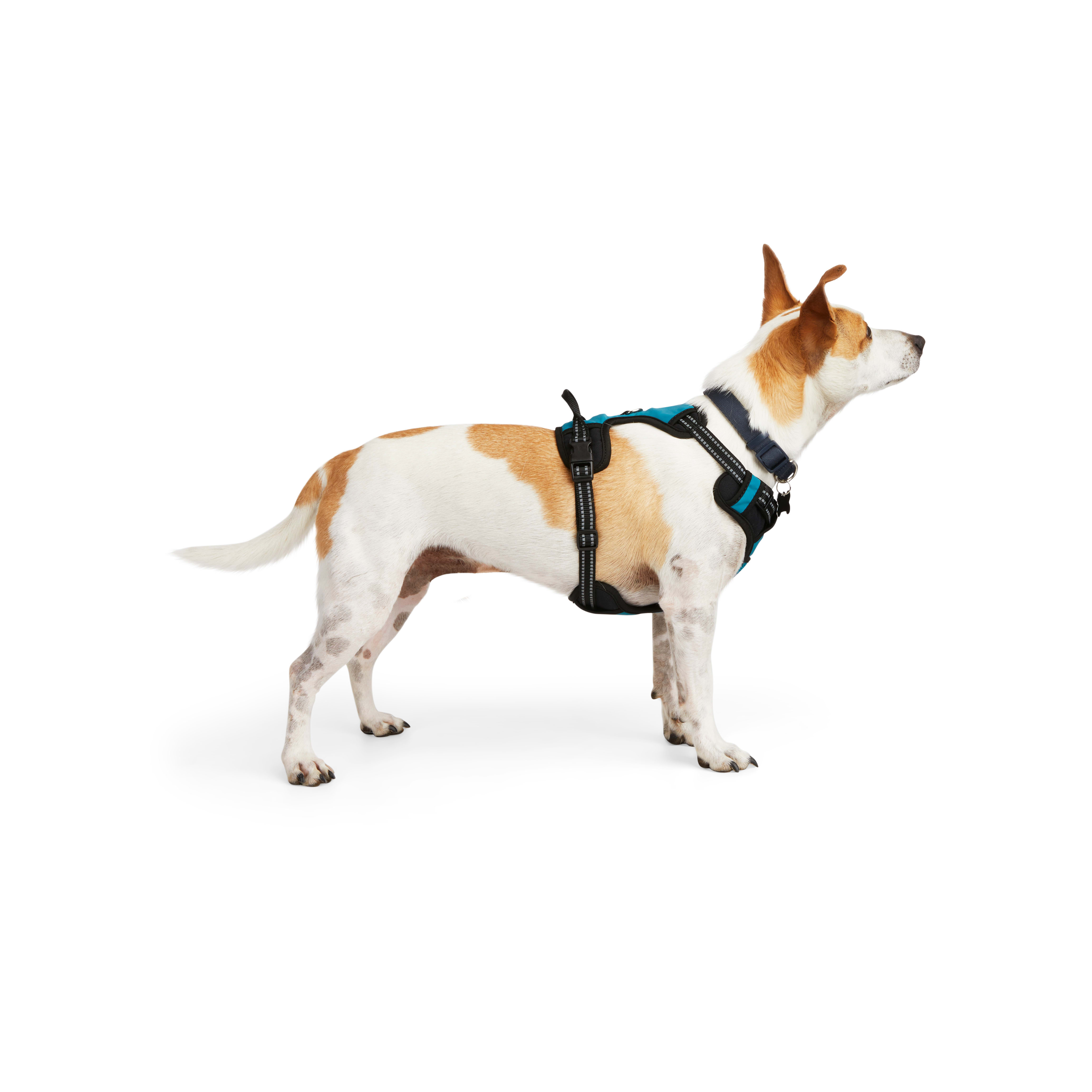 EveryYay Embrace the Pace Teal Reflective Dog Harness， X-Small