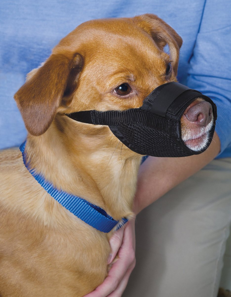 PetSafe Dog Muzzle