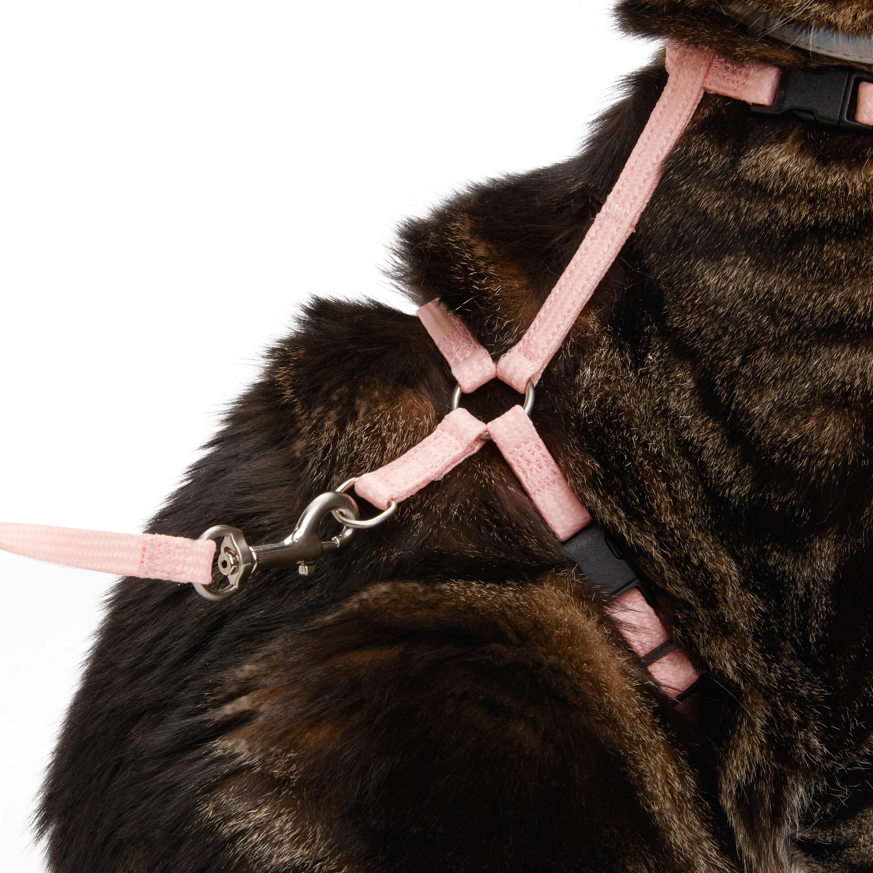 YOULY Pink Glow in the Dark Cat Harness  Lead