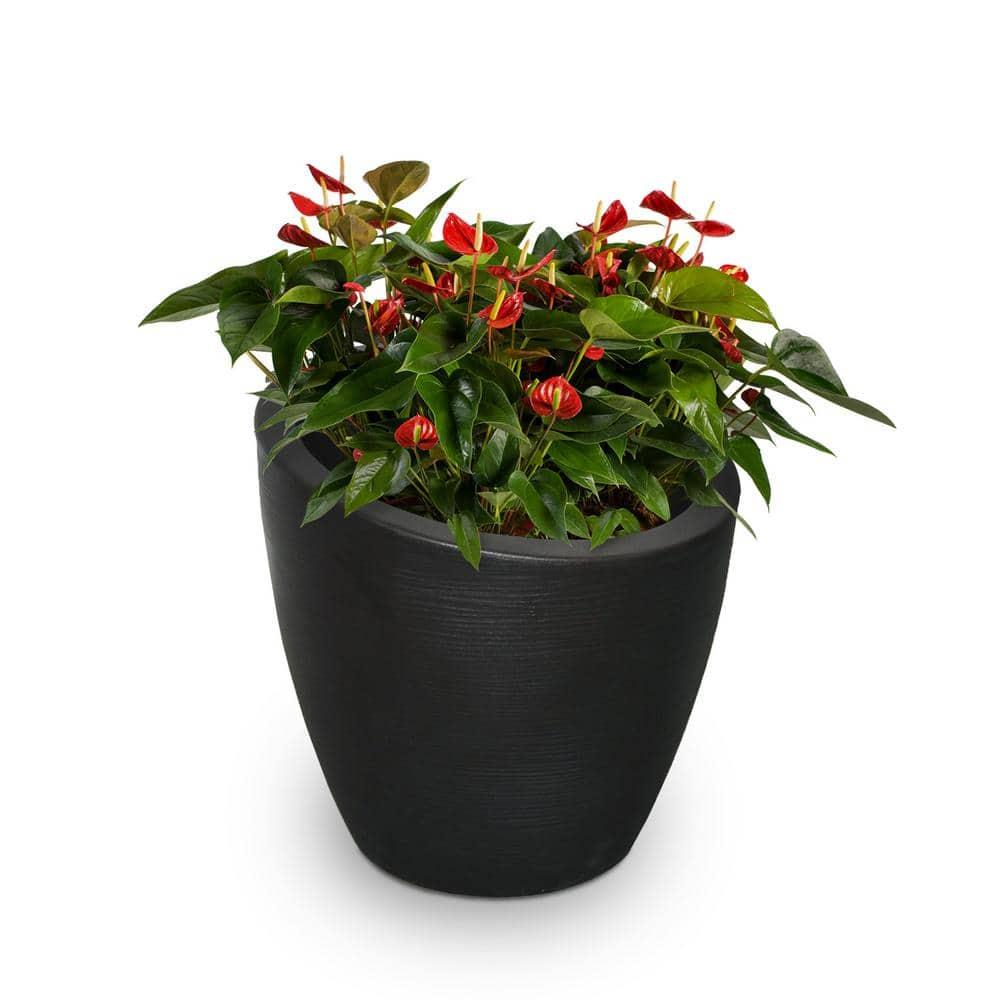 Mayne Modesto 20 in. Round Black Polyethylene Planter 8879-B