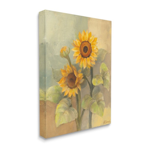 Stupell Industries Sunflower Bloom Soft Yellow Summer Petals Gallery Wrapped Canvas Wall Art 16 X 20