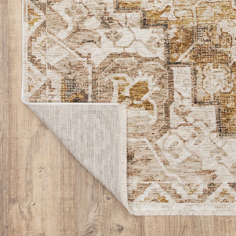 StyleHaven Mascotte Faded Medallion Fringed Area Rug