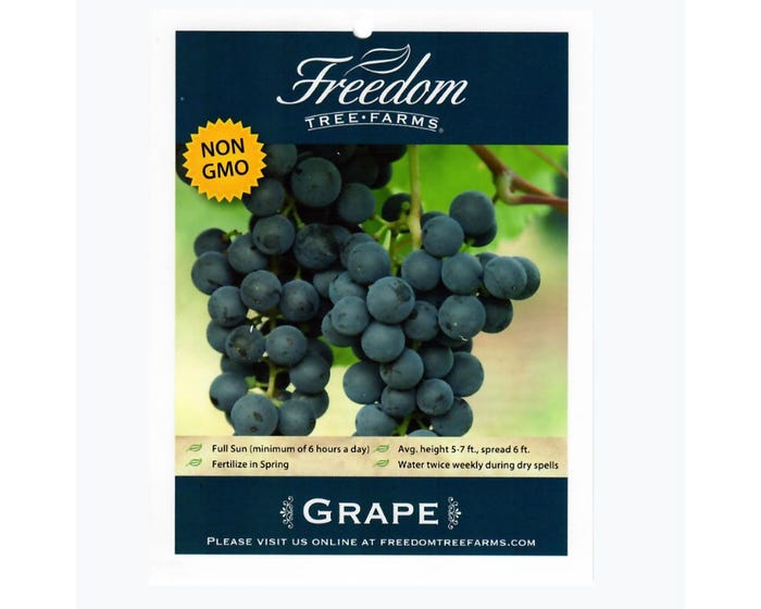 Freedom Farms Mars Seedless Grape Vine， 2 Gallon Pot